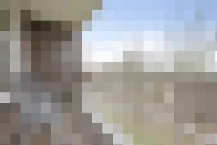 Lisztgaarde 90 Oss thumbnail 12