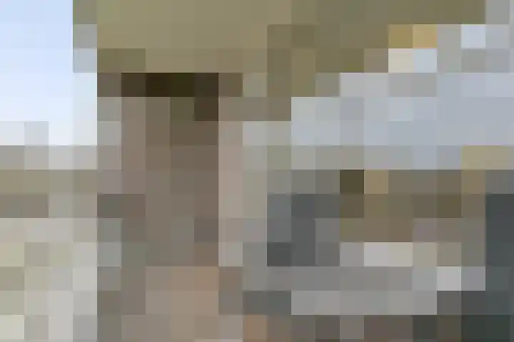 Lisztgaarde 90 Oss thumbnail 13