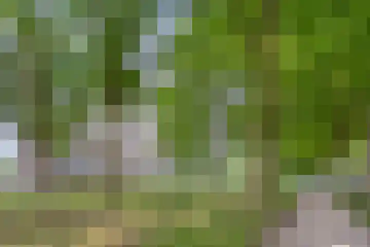 Lisztgaarde 90 Oss thumbnail 18