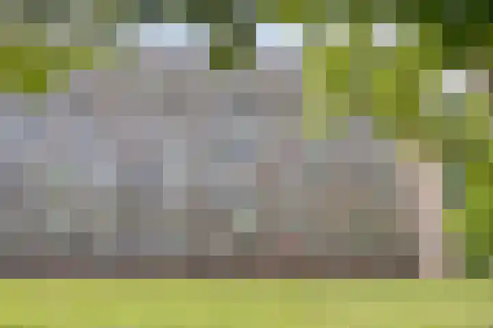 Lisztgaarde 90 Oss thumbnail 19