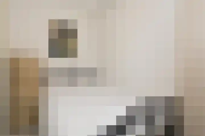 Lisztgaarde 90 Oss thumbnail 7