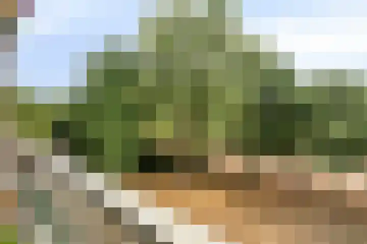 Lisztgaarde 98 Oss thumbnail 11