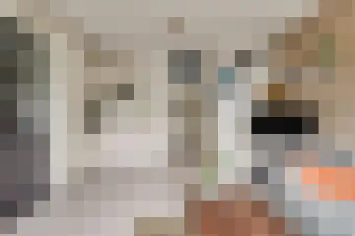 Lisztgaarde 98 Oss thumbnail 12