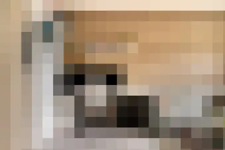 Lisztgaarde 98 Oss thumbnail 13