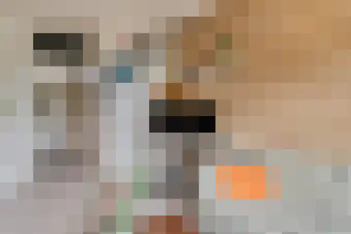 Lisztgaarde 98 Oss thumbnail 16