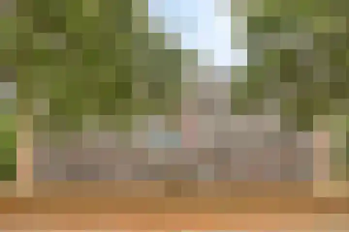Lisztgaarde 98 Oss thumbnail 21