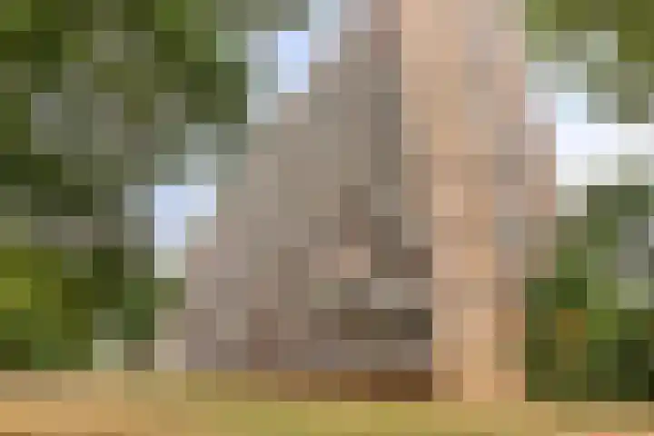 Lisztgaarde 98 Oss thumbnail 22