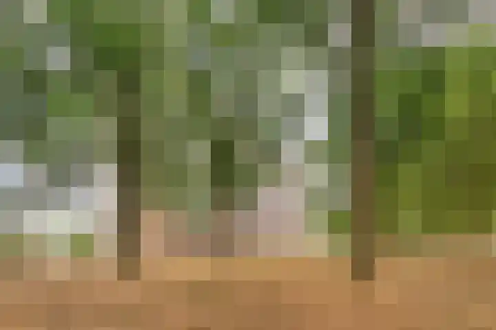 Lisztgaarde 98 Oss thumbnail 23