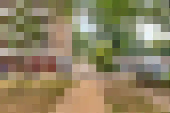 Lisztgaarde 98 Oss thumbnail 24