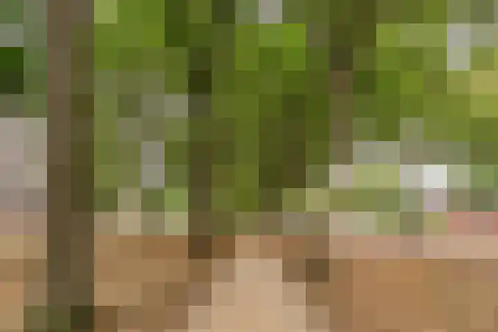 Lisztgaarde 98 Oss thumbnail 29
