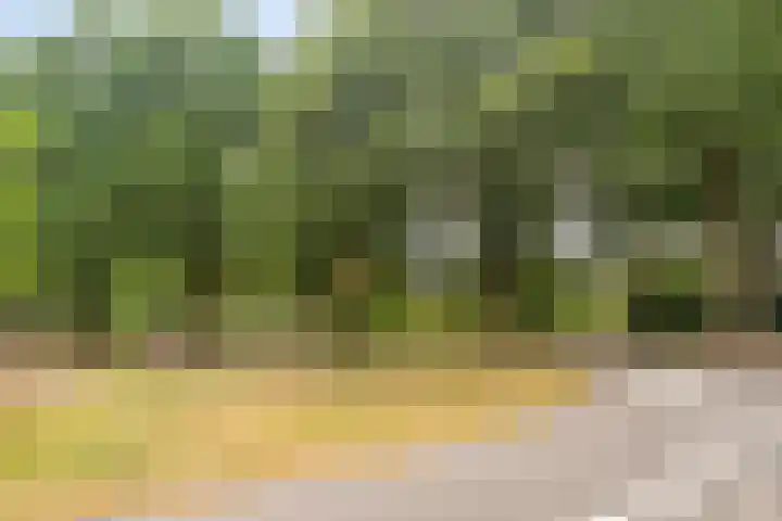 Lisztgaarde 98 Oss thumbnail 30