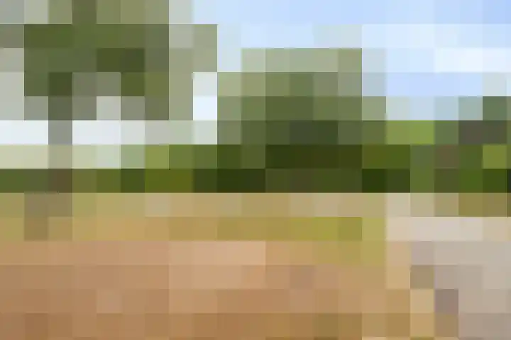 Lisztgaarde 98 Oss thumbnail 31