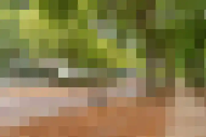 Lisztgaarde 98 Oss thumbnail 32