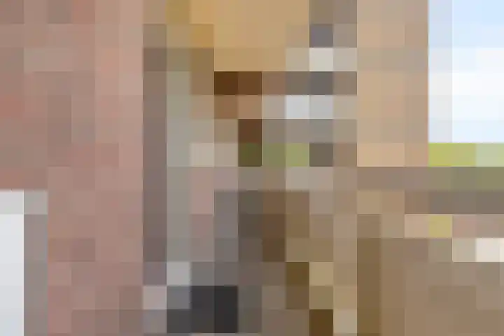Lisztgaarde 98 Oss thumbnail 5