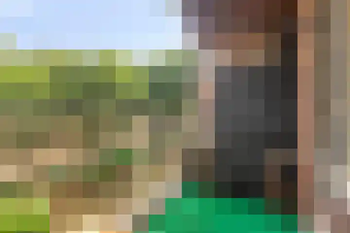 Lisztgaarde 98 Oss thumbnail 9