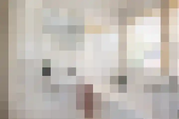 Lisztlaan 6 Enschede thumbnail 20