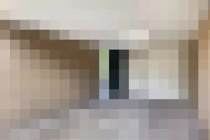Lisztlaan 6 Enschede thumbnail 25