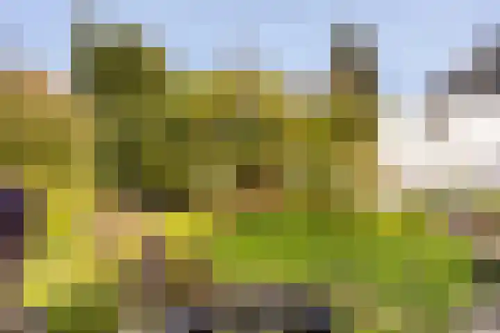 Lisztlaan 6 Enschede thumbnail 29