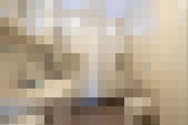 Litasweg 20 Amsterdam thumbnail 17