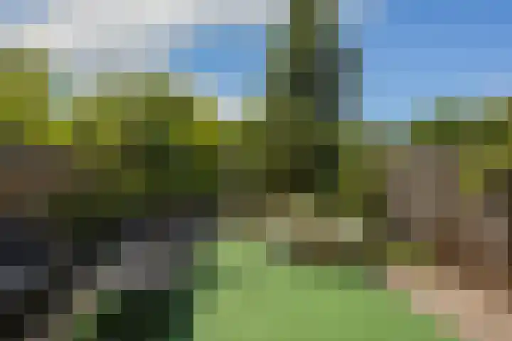 Litasweg 20 Amsterdam thumbnail 18