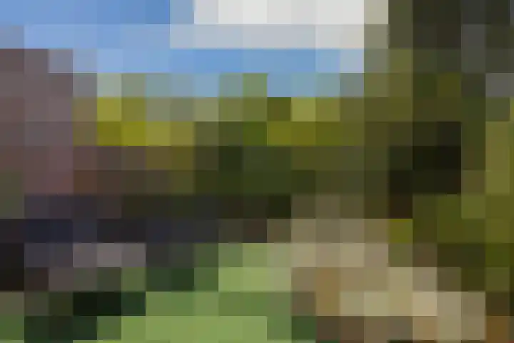 Litasweg 20 Amsterdam thumbnail 19