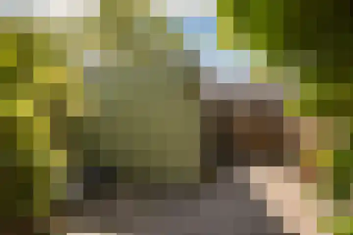 Litasweg 20 Amsterdam thumbnail 21