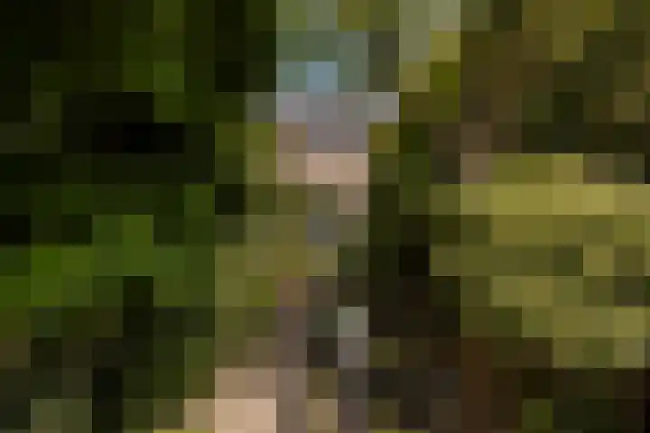 Litasweg 20 Amsterdam thumbnail 22