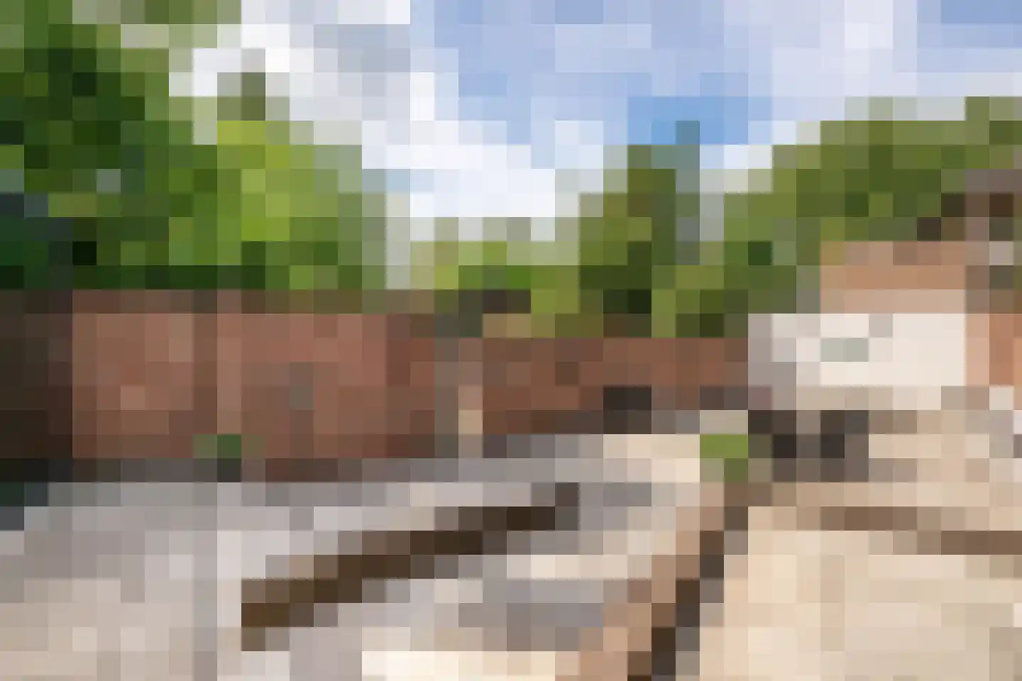 Lithse Dijk 96 Lith thumbnail 30