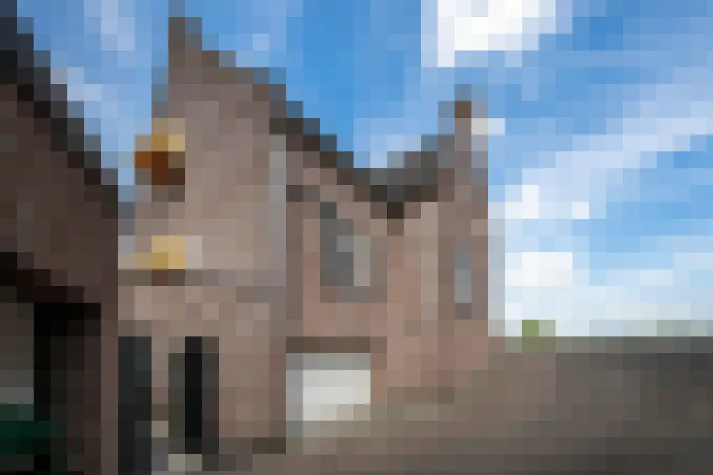 Lithse Dijk 96 Lith thumbnail 37