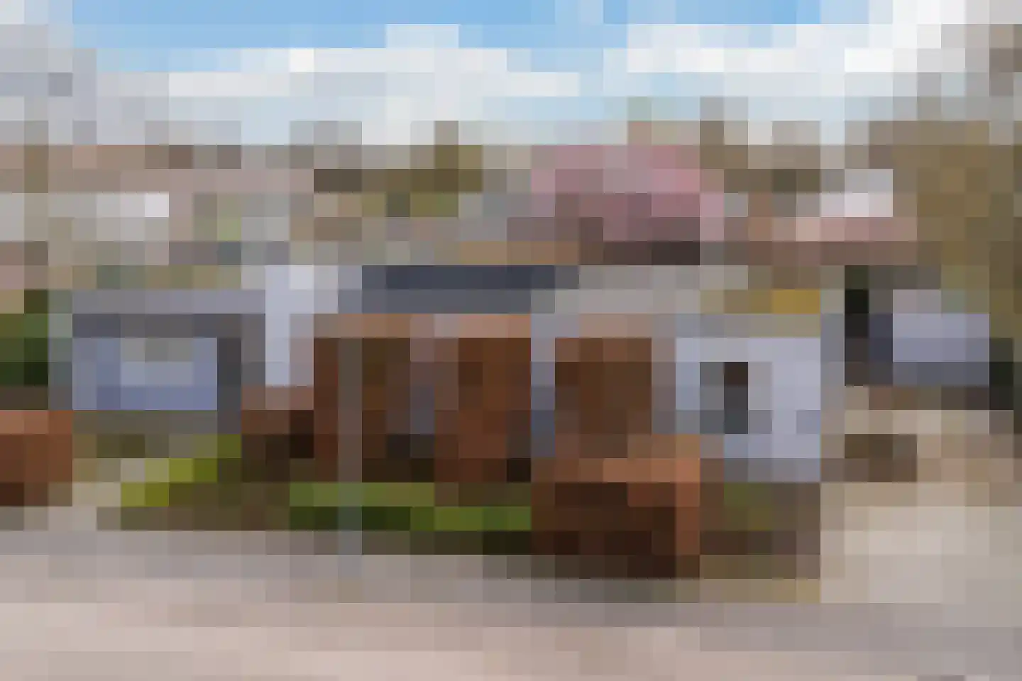 Liviusstraat 11 dans 's-Hertogenbosch
