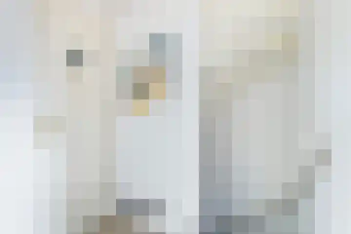 Ljipstrjitte 9 Stiens thumbnail 18