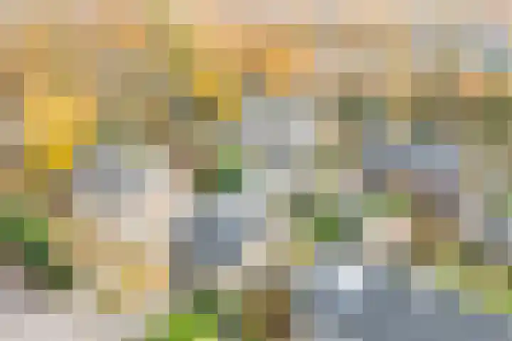 Ljipstrjitte 9 Stiens thumbnail 20