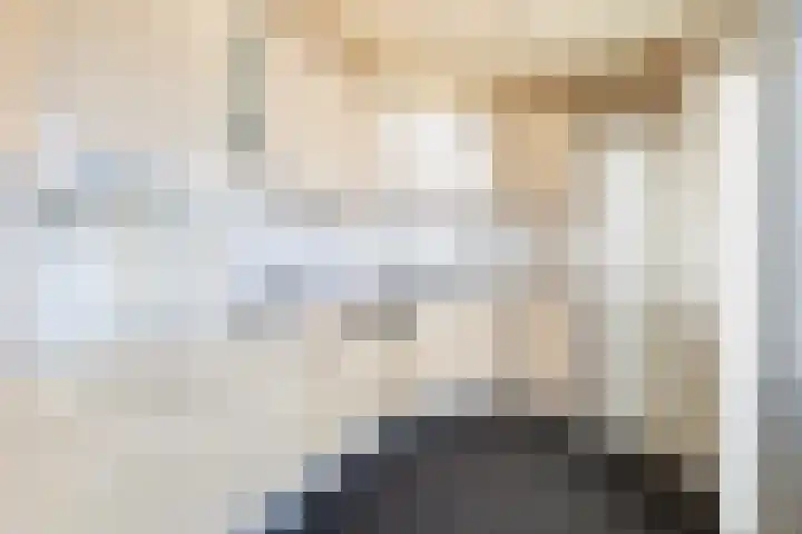 Ljipstrjitte 9 Stiens foto 3