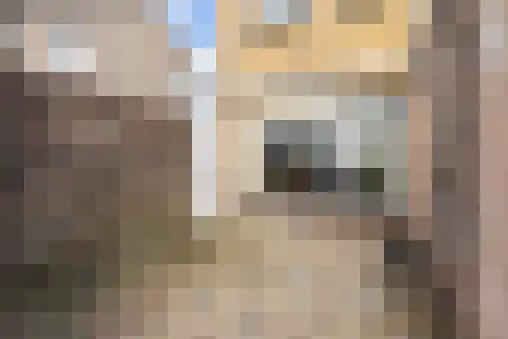 Ljipstrjitte 9 Stiens thumbnail 35