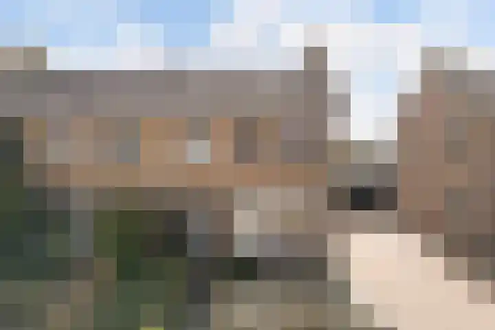 Ljipstrjitte 9 Stiens thumbnail 40