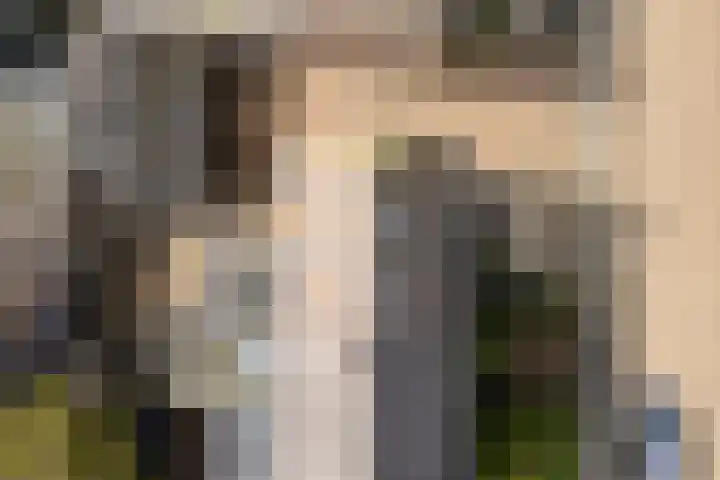 Ljipstrjitte 9 Stiens thumbnail 45