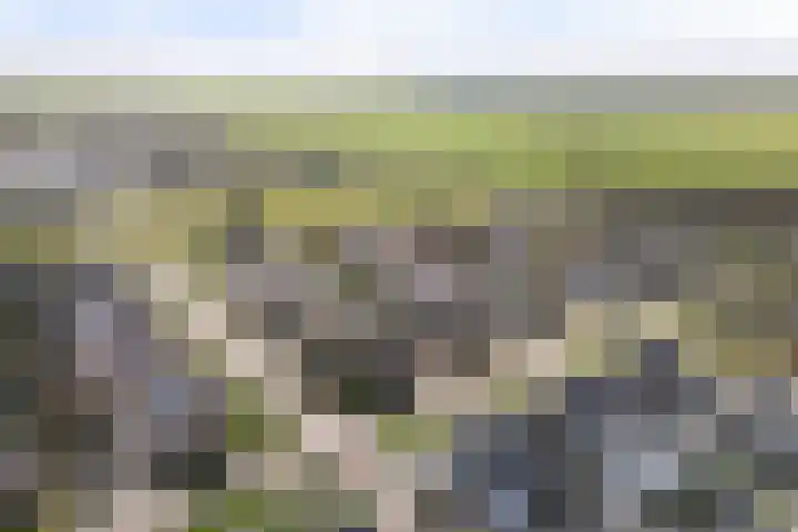 Ljipstrjitte 9 Stiens thumbnail 46