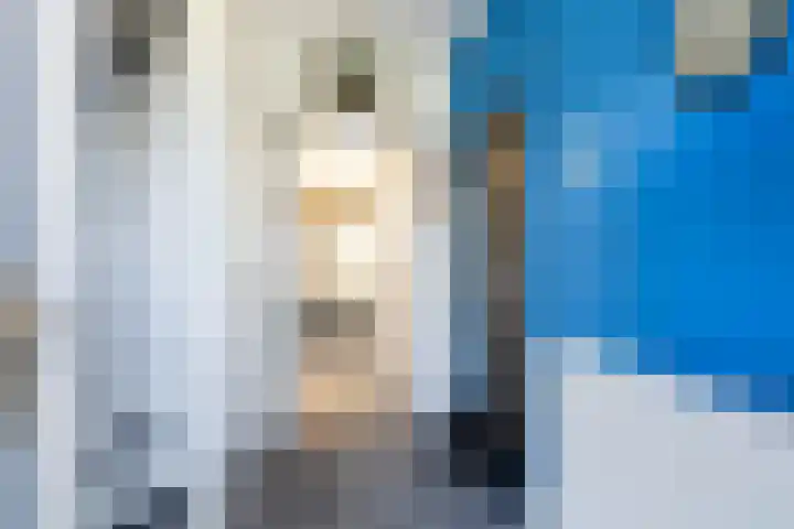 Ljipstrjitte 9 Stiens thumbnail 5