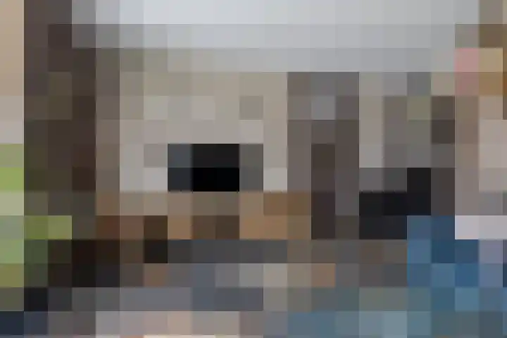 Ljurk 36 Wommels thumbnail 15