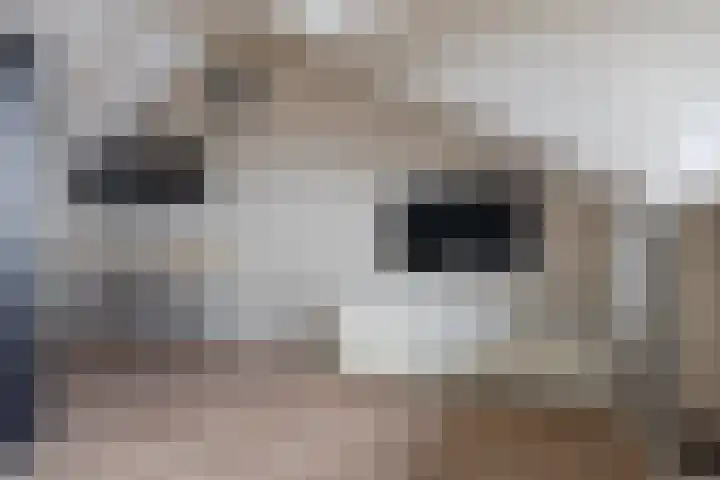 Ljurk 36 Wommels thumbnail 48