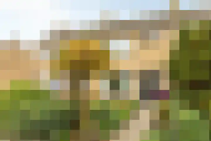 Ljurkstrjitte 4 in Stiens