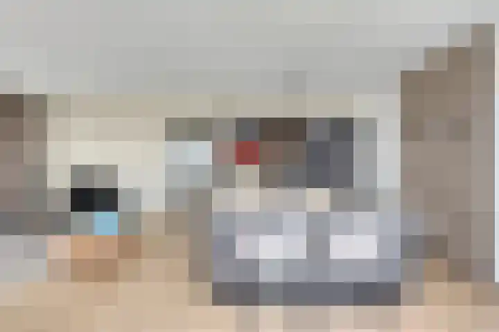 Lloydkade 461 Rotterdam thumbnail 16
