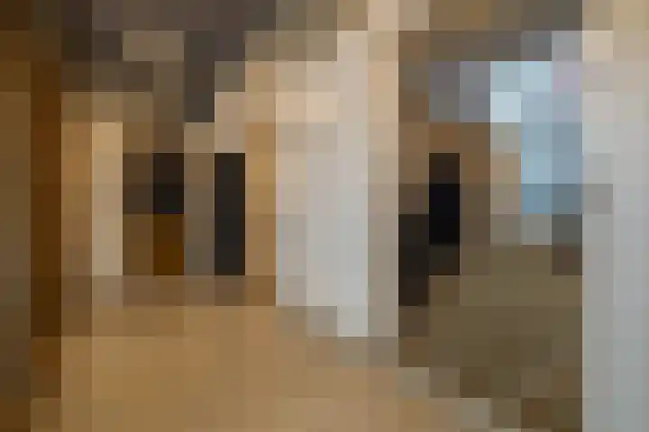 Lloydkade 487 Rotterdam thumbnail 12