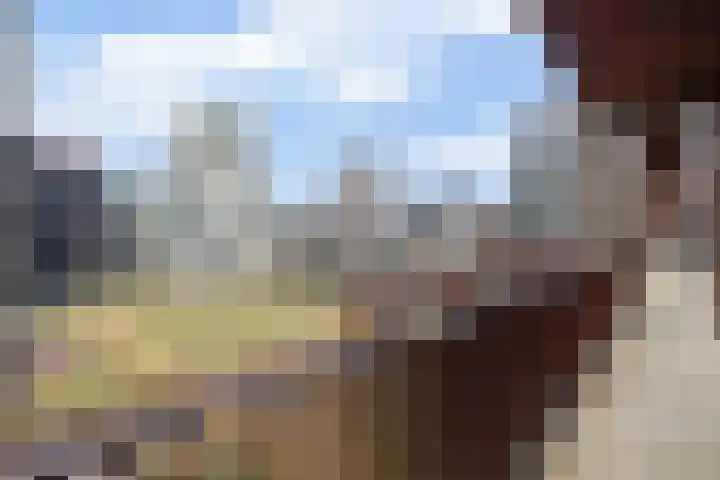 Lloydkade 487 Rotterdam thumbnail 13