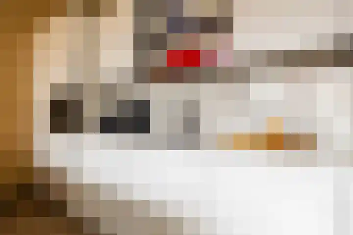 Lloydkade 487 Rotterdam thumbnail 21