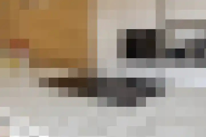 Lloydkade 487 Rotterdam thumbnail 23