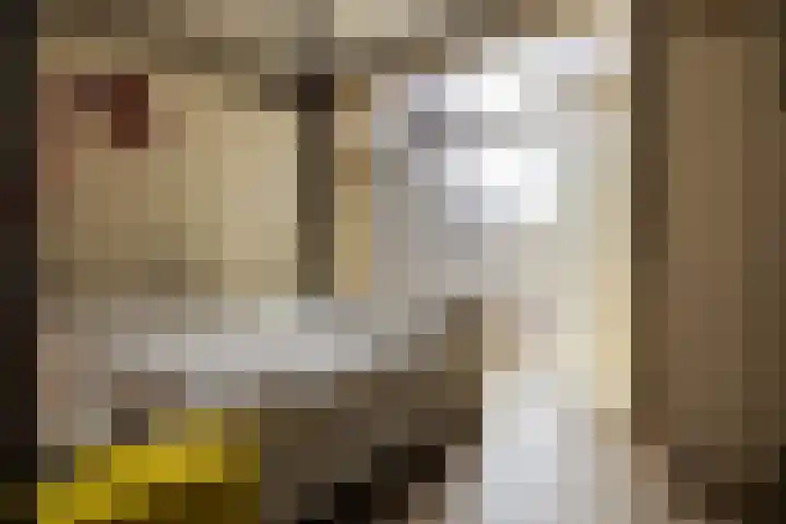 Lloydkade 487 Rotterdam thumbnail 30