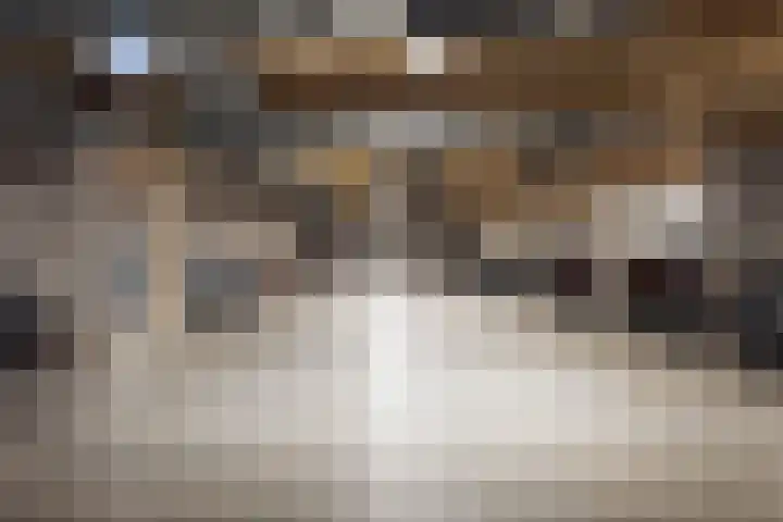 Lloydkade 487 Rotterdam thumbnail 43