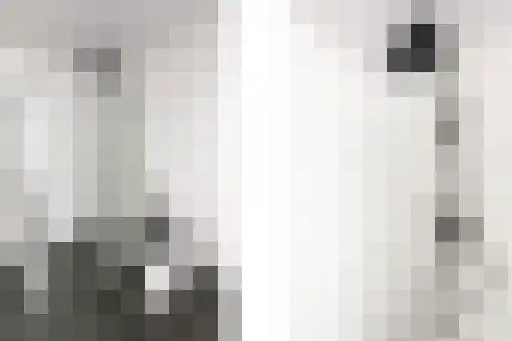 Lloydkade 527 Rotterdam thumbnail 21