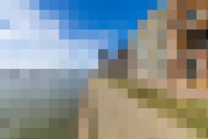 Lloydkade 527 Rotterdam thumbnail 50